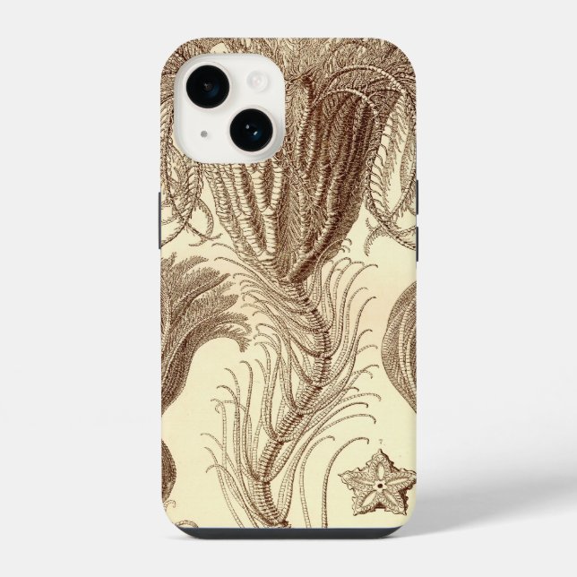 Coque iPhone Haeckel vintage (Verso)