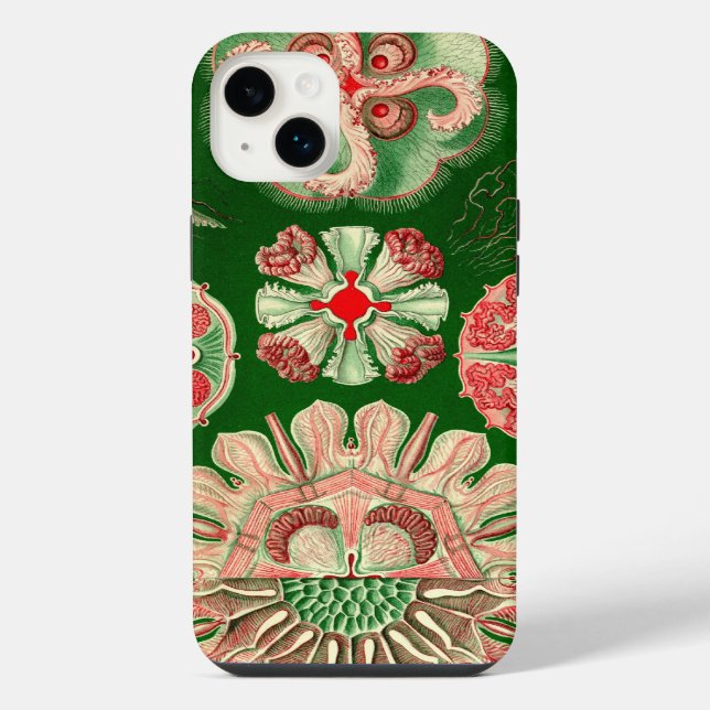 Coque iPhone Haeckel vintage (Verso)