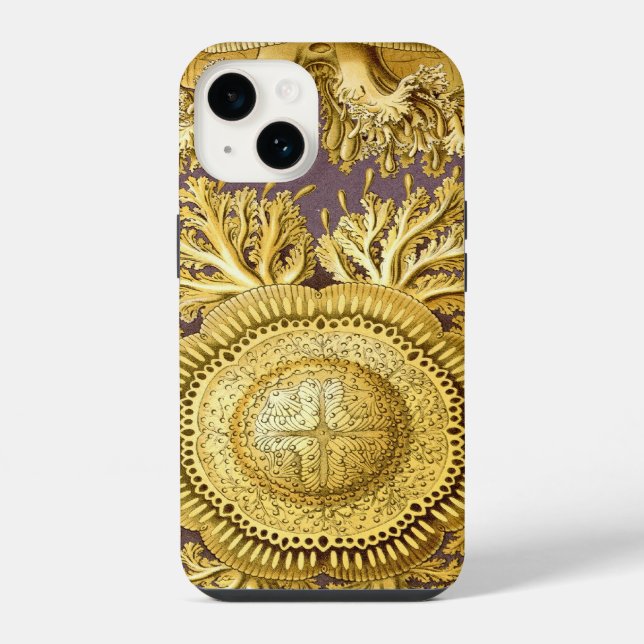 Coque iPhone Haeckel vintage (Verso)