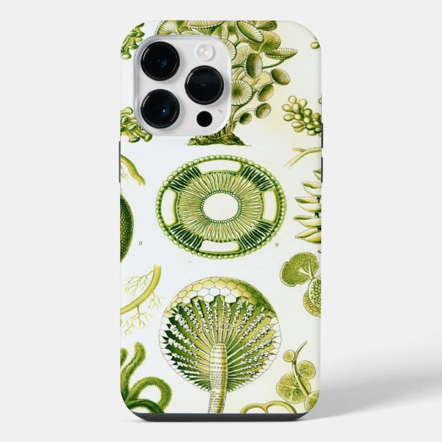 Coque iPhone Haeckel vintage (Verso)