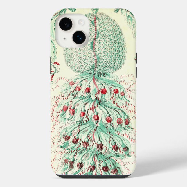 Coque iPhone Haeckel vintage (Verso)