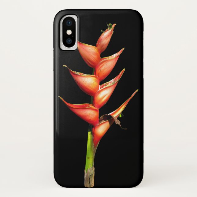 Coque iphone Heliconia (Dos)