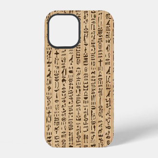 Coque iPhone 12 Hiéroglyphes égyptiens : Magie sans couture Grunge