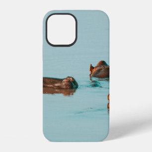 COQUE iPhone 12 HIPPOS REFROIDISSANT DANS LE BARRAGE