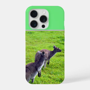 Coque iPhone 15 Pro Horizons sans limites : Kangourous gris sur une pl