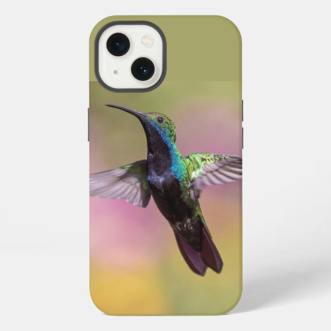 Coque iPhone Humming Bird (Verso)