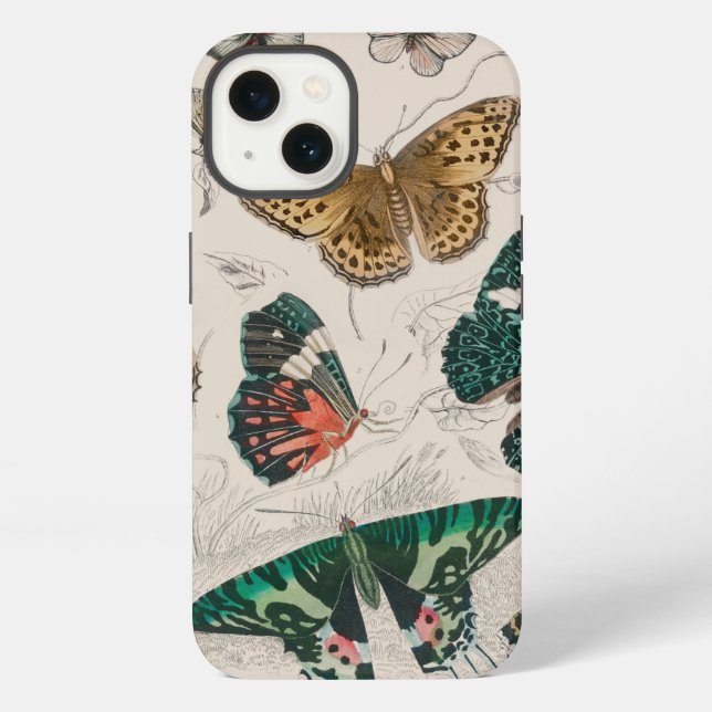 Coque iPhone Illustration de papillon antique : 1820 Orfèvre (Verso)