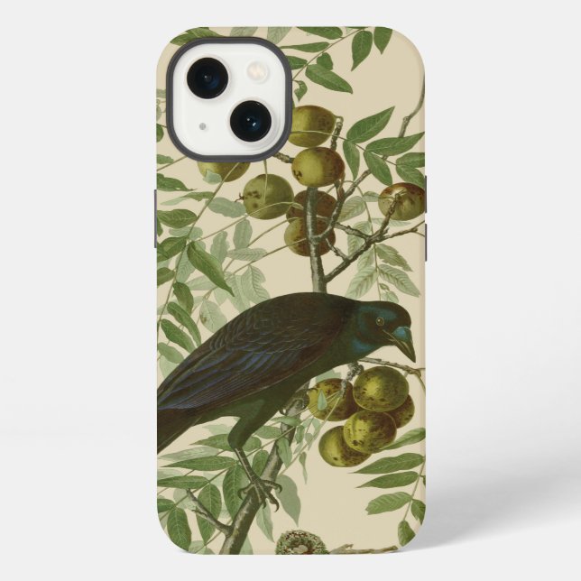 Coque iPhone Impression d'oiseau Grackle violet d'Audubon Botan (Verso)