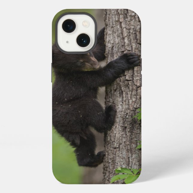 Coque iPhone Jeune ours noir grimpant à un arbre (Verso)