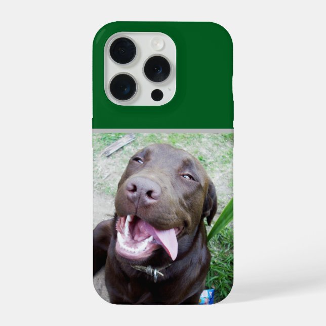 Coque iPhone Joies Idiotes : chiot Labrador brun au chocolat, (Verso)