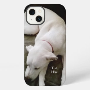 Etui iPhone 13 Joli chien labrador mélangé blanc endormi