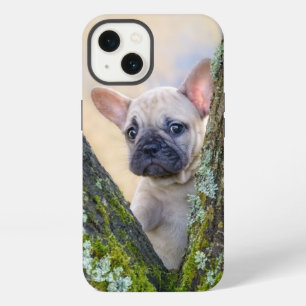 Etui iPhone 13 Joli chiot Bouledogue Français posant dans une fou