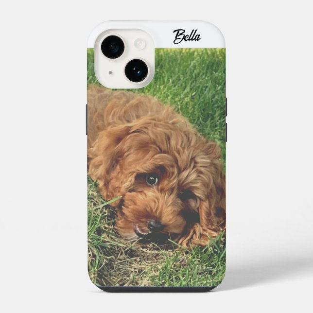 Coque iPhone Joli Golden Doodle (Verso)