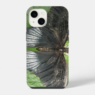 Coque Pour iPhone 14 Joli papillon tropical et fleurs