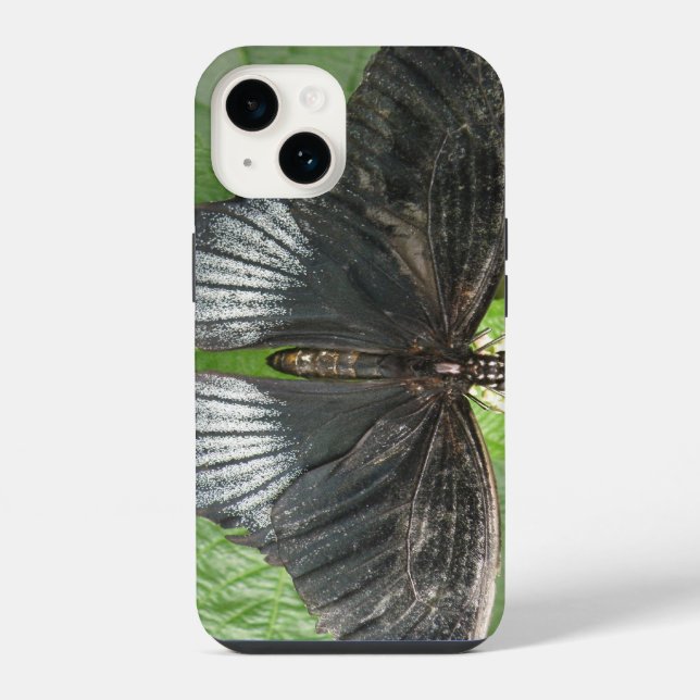 Coque iPhone Joli papillon tropical et fleurs (Verso)