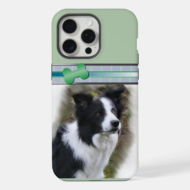 Coque iPhone Jolie art moderne de chien Border Collie (Verso)