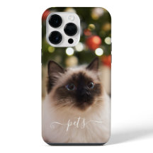 Jolies photos d'animaux de compagnie pour se souve