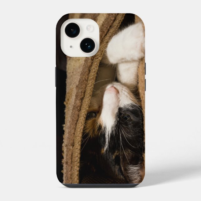 Coque iPhone Jouer sous le tapis (Verso)