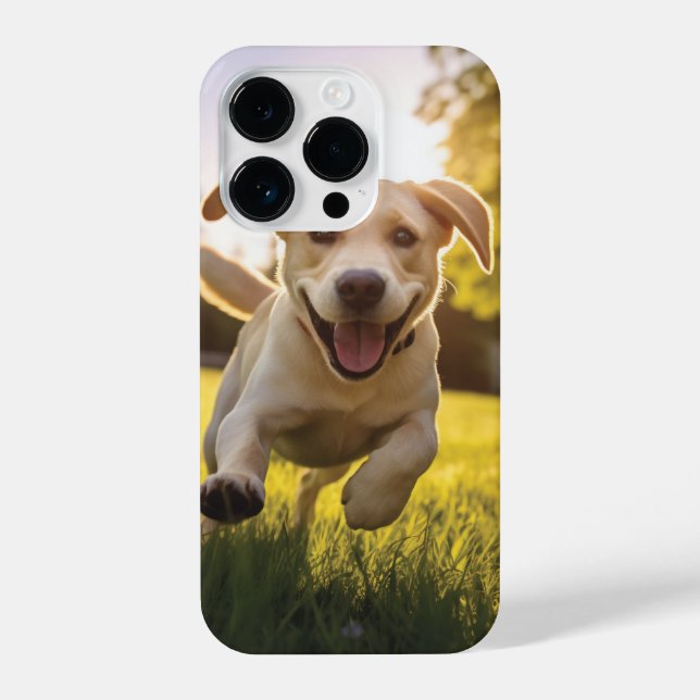 Coque iPhone Joyeux Labrador Puppy Running (Verso)