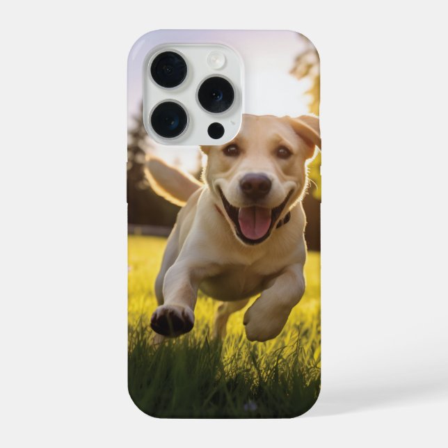 Coque iPhone Joyeux Labrador Puppy Running (Verso)