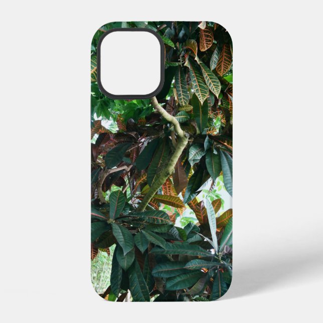 Coque iPhone Jungle Tropical Vert (Verso)