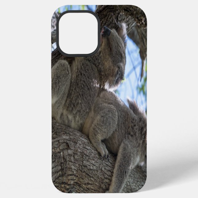 Coque iPhone Koala (Verso)