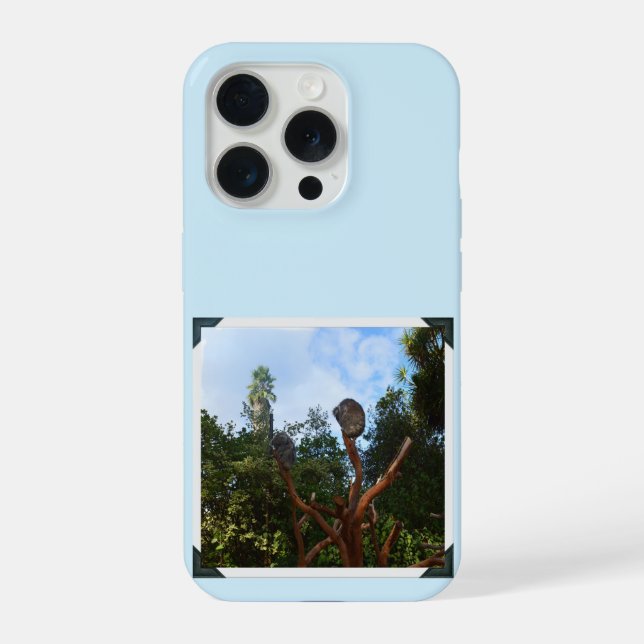 Coque iPhone Koalas endormis dans les arbres, (Verso)