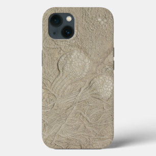 Etui iPhone 13 La collection de fossiles méduse