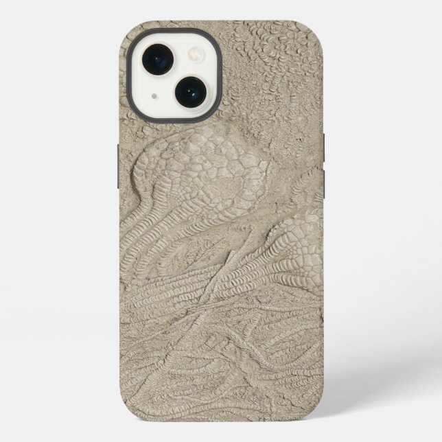 Coque iPhone La méduse de la collection de fossiles (Verso)