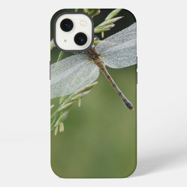 Coque iPhone La rosée a couvert la libellule de Darner (Verso)