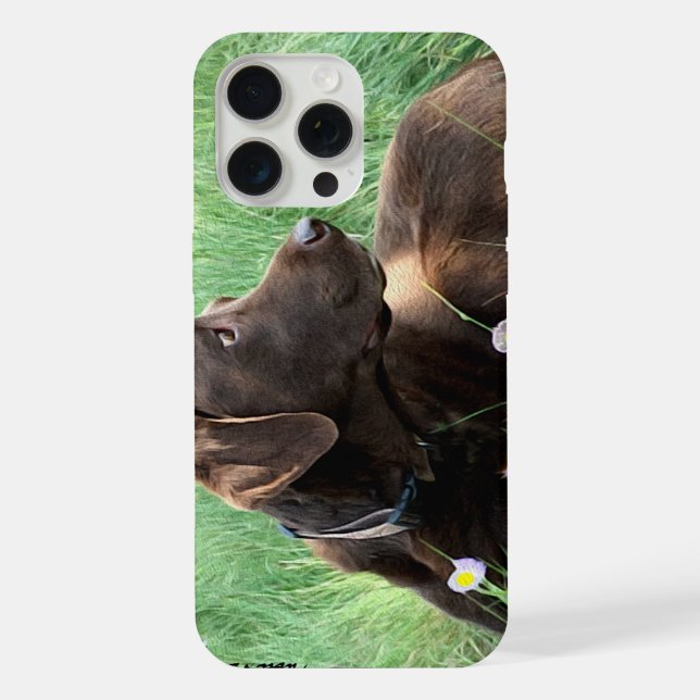 Coque iPhone Labrador Retriever Et Fleurs Violettes (Verso)