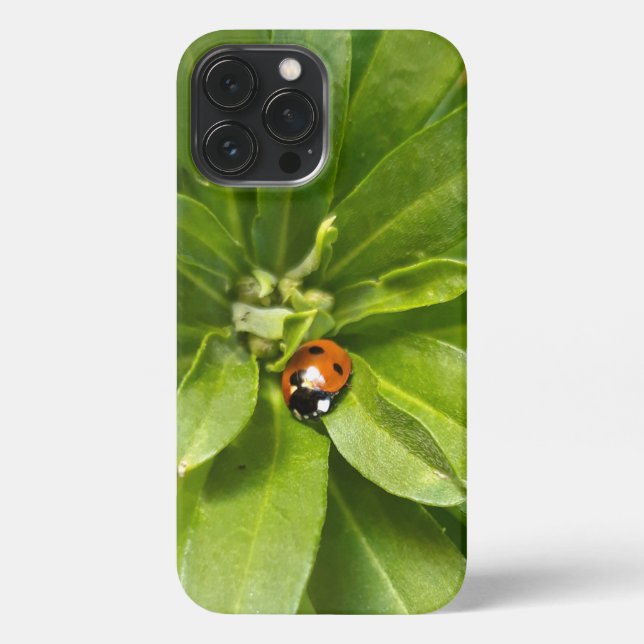 Coque iPhone Ladybug (Verso)