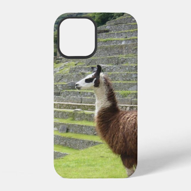 Coque iPhone lama (Verso)
