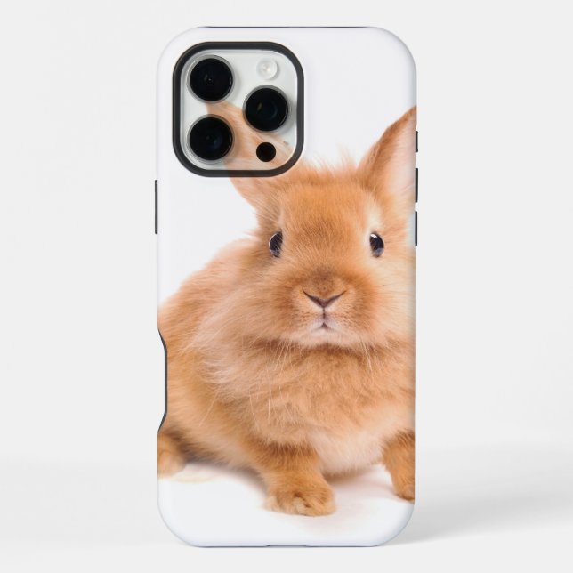 Coque iPhone Lapin (Verso)
