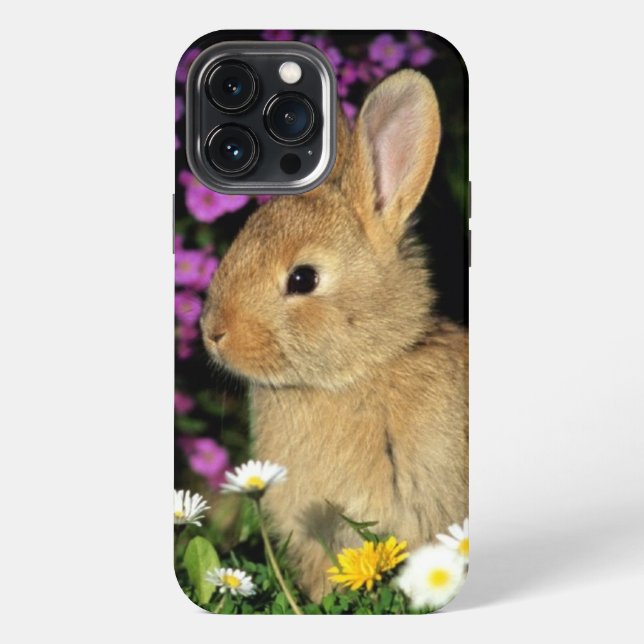 Coque iPhone Lapin (Verso)