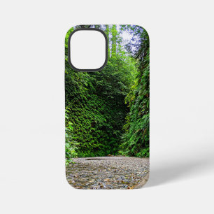 Coque iPhone 12 Mini Le sentier du ruisseau s'enfonce dans les murs ver