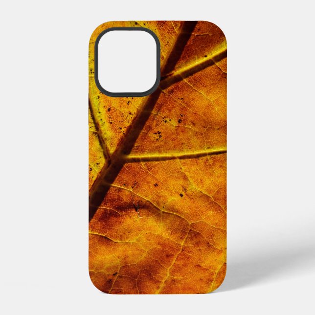 Coque iPhone Leaf leaf veins fall texture (Verso)