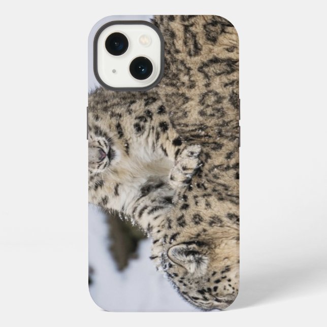 Coque iPhone Léopards des neiges : (Verso)