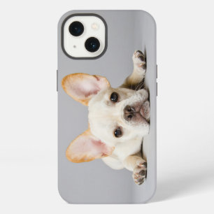 Etui iPhone 13 Les bébés animaux les plus mignons Bouledogue fr