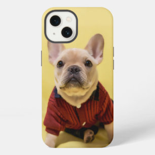 Etui iPhone 13 Les bébés animaux les plus mignons Bouledogue fr
