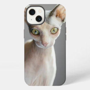 Etui iPhone 13 Les bébés animaux les plus mignons Chat Sphynx