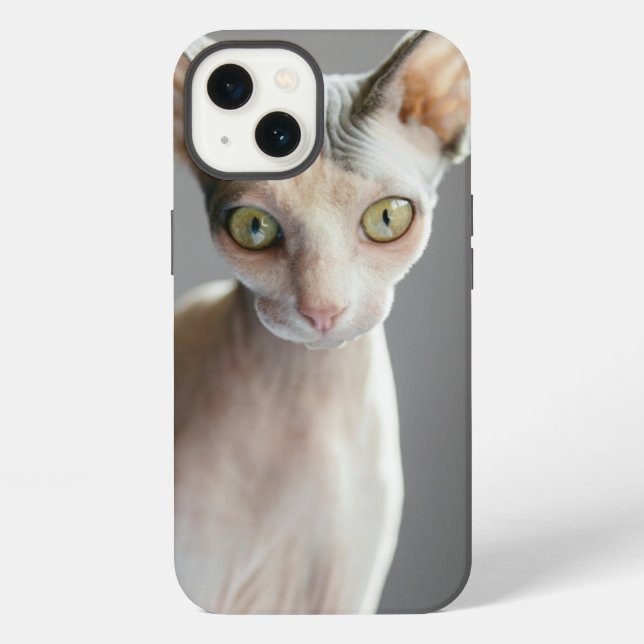 Coque iPhone Les bébés animaux les plus mignons | Chat Sphynx (Verso)