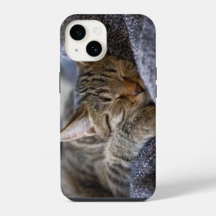 Coque Pour iPhone 14 Les bébés animaux les plus mignons Chat tigré do