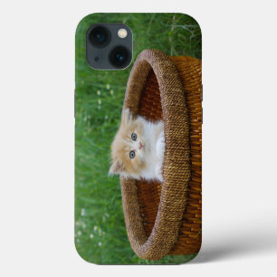 Etui iPhone 13 Les bébés animaux les plus mignons Chaton aux ye