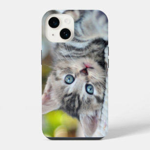 Coque Pour iPhone 14 Les bébés animaux les plus mignons   Chatons aux y