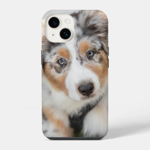 Coque Pour iPhone 14 Les bébés animaux les plus mignons chiot berger