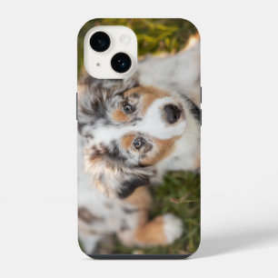 Coque Pour iPhone 14 Les bébés animaux les plus mignons chiot berger