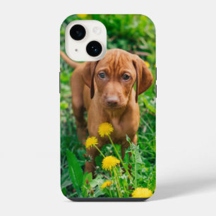 Coque Pour iPhone 14 Les bébés animaux les plus mignons Chiot Pointer