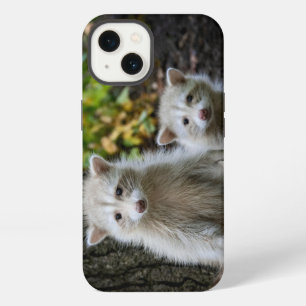 Etui iPhone 13 Les bébés animaux les plus mignons   Jeunes ratons