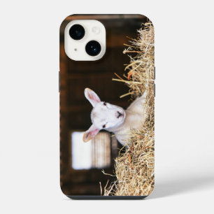 Coque Pour iPhone 14 Les bébés animaux les plus mignons Nouvel agneau